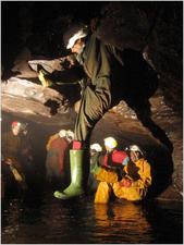 Thumbnail of photo from this article